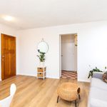 Rent 1 bedroom apartment in Newcastle