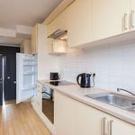 Studio Apartment for Rent in Brussels City Center