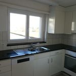 1 room apartment to let in 9435 heerbrugg. bahnstrasse 44