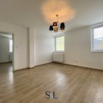 Rent 6 bedroom apartment in Liberec