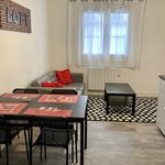 Rent 3 bedroom apartment of 58 m² in Lyon 2e Arrondissement
