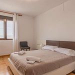 Alquilar 3 dormitorio apartamento en Alzira