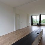 Rent 3 bedroom apartment of 100 m² in Zwolle