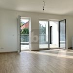Rent 4 bedroom apartment of 132 m² in Forchtenstein