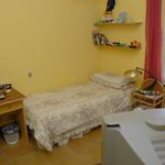 Rent a room in Villaviciosa de Odón