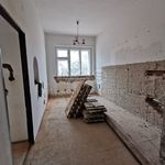 Rent 1 bedroom apartment of 70 m² in Nechanice