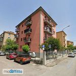 Affitto 3 camera appartamento di 65 m² in Bologna