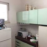 Affitto 2 camera appartamento di 55 m² in Ladispoli