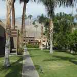 Rent a room of 70 m² in Palm Springs