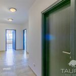 Rent 2 bedroom apartment of 585 m² in Plzeň