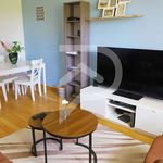 Rent 3 bedroom apartment of 57 m² in Chatou