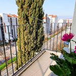 Rent 1 bedroom apartment of 53 m² in Rijeka