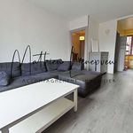 Appartement de 55 m² avec 3 chambre(s) en location à Grenoble
