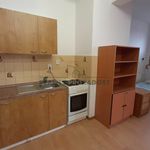 Rent 1 bedroom apartment in Blansko
