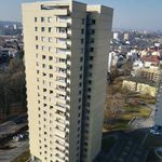 Rent 4 bedroom apartment of 80 m² in Birsfelden