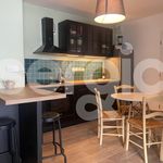 Rent 2 bedroom apartment of 45 m² in Lille