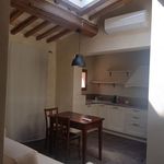 Rent 2 bedroom apartment of 65 m² in Florence