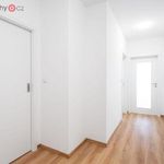Rent 2 bedroom apartment of 66 m² in Plzeň