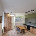 Rent 2 bedroom apartment of 39 m² in Mała