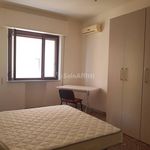 Rent 3 bedroom apartment of 100 m² in Catanzaro