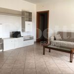Rent 3 bedroom apartment of 80 m² in Brindisi