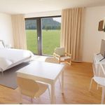Rent 1 bedroom apartment of 38 m² in Bellinzona