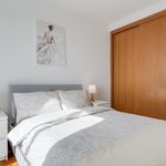 Rent 1 bedroom apartment of 90 m² in Câmara de Lobos