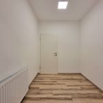 Rent 4 bedroom apartment of 121 m² in Krems an der Donau