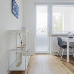 Rent 2 bedroom apartment of 47 m² in Düsseldorf