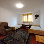 Rent 8 bedroom house of 300 m² in gryfino