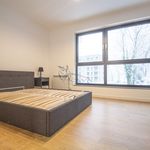 Rent 2 bedroom apartment of 54 m² in Bielsko-biała