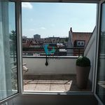 Rent 3 bedroom apartment of 70 m² in Lille