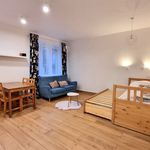 Rent 1 bedroom apartment of 30 m² in Katowice