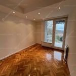 Rent 3 bedroom apartment of 80 m² in Budapest