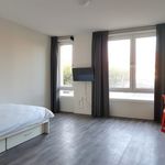 Rent a room of 38 m² in Groningen
