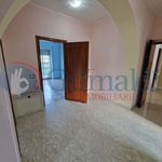 Rent 4 bedroom apartment of 100 m² in Villa Santa Lucia