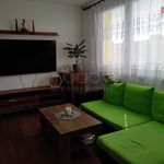 Rent 1 bedroom apartment of 33 m² in Bruntál