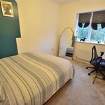 Rent 3 bedroom house in Chester le Street