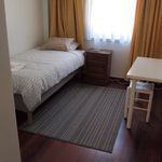 Alugar 3 quarto apartamento de 110 m² em Guimarães