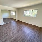 Rent 1 bedroom apartment in Studio City