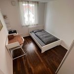 Rent 3 bedroom apartment of 81 m² in Böblingen