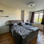 Miete 4 Schlafzimmer wohnung von 85 m² in Schwerin