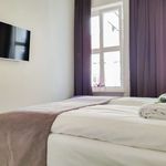 Rent 3 bedroom apartment of 50 m² in berlin