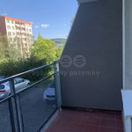 Rent 1 bedroom apartment of 33 m² in Zlín