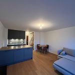 Rent 2 bedroom apartment of 55 m² in München