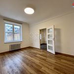 Rent 2 bedroom apartment of 40 m² in Náchod