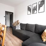 Wynajmij 2 sypialnię apartament z 32 m² w Dąbrowa Górnicza