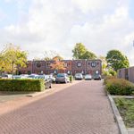 Rent 5 bedroom house in Lelystad