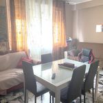 Affitto 4 camera appartamento di 95 m² in Pontedera