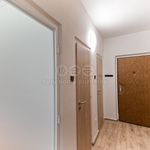 Rent 1 bedroom apartment of 73 m² in Valašské Meziříčí